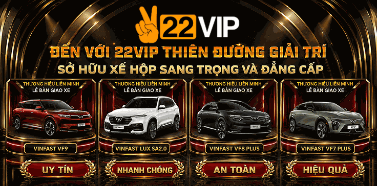 22VIP